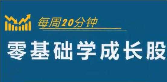 图片[1]-怎样选择成长股《零基础学成长股》股票讲座视频 - AI 智能探索网-AI 智能探索网