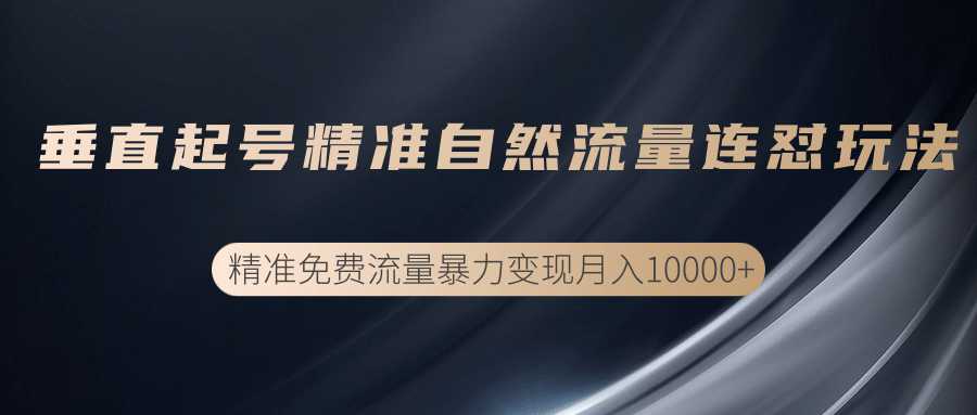 垂直起号精准自然流量连爆玩法，精准引流暴力变现月入10000+ - AI 智能探索网-AI 智能探索网