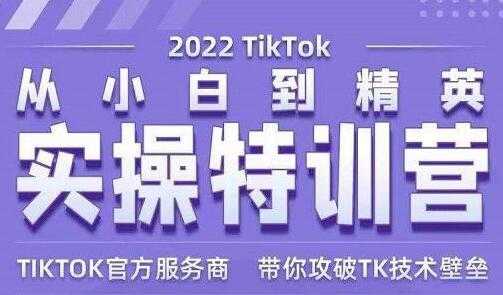 图片[1]-Seven漆《Tiktok从小白到精英实操特训营》带你掌握Tiktok账号运营 - AI 智能探索网-AI 智能探索网