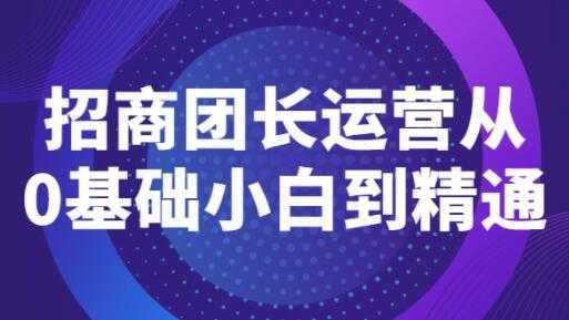 图片[1]-《招商团长运营》从0基础小白到精通 - AI 智能探索网-AI 智能探索网