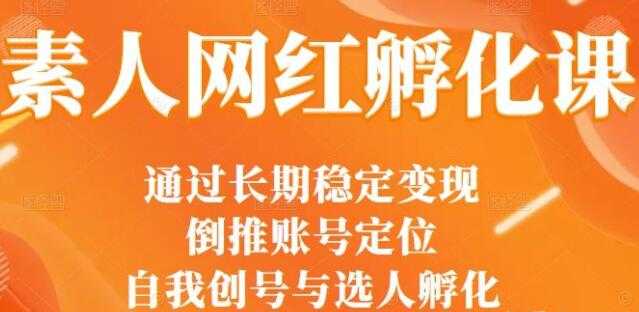 马大个《素人网红孵化课》通过长期稳定变现，自我创号与选人孵化 - AI 智能探索网-AI 智能探索网