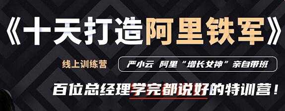 严小云销售特训营《十天快速打造阿里铁军》百位总经理学完都说好 - AI 智能探索网-AI 智能探索网