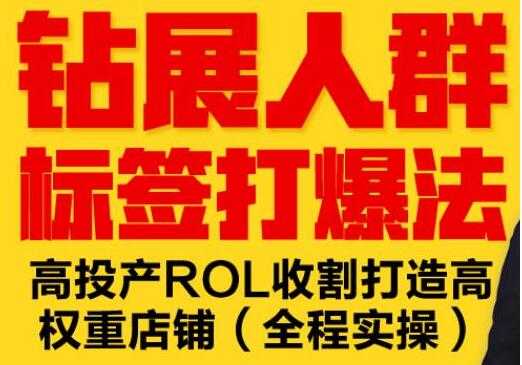 逐鹿《淘宝钻展人群标签打爆法》高投产ROL收割打造高权重店铺(全程实操) - AI 智能探索网-AI 智能探索网