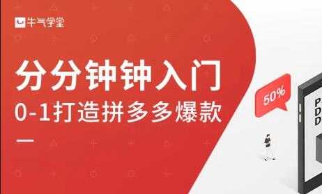 牛气学堂《拼多多实战运营指南》培训课程 - AI 智能探索网-AI 智能探索网