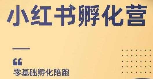 图片[1]-小红书撸金项目，教你如何快速起号获得曝光，做到月躺赚在3000+ - AI 智能探索网-AI 智能探索网