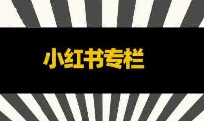 图片[1]-品牌医生《小红书全链营销干货》5个起盘案例，营销策略规划，避坑指南 - AI 智能探索网-AI 智能探索网