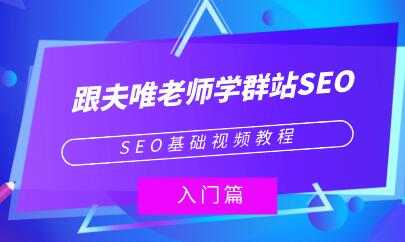 夫唯《群站seo优化教程视频》SEO基础视频教程 - AI 智能探索网-AI 智能探索网