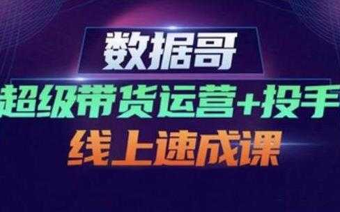 数据哥《超级带货运营+投手线上速成课》快速提升运营和熟悉学会投手技巧 - AI 智能探索网-AI 智能探索网