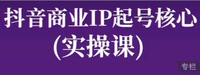 《抖音商业IP起号核心实操课》带你玩转算法，流量，内容，架构，变现 - AI 智能探索网-AI 智能探索网