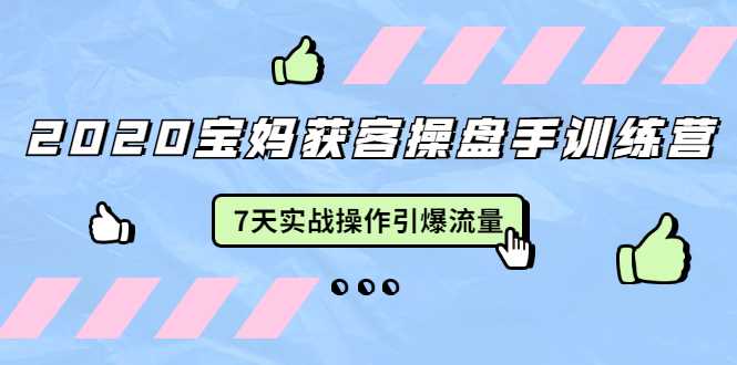 图片[1]-2020宝妈获客操盘手训练营：7天实战操作引爆 母婴、都市、购物宝妈流量 - AI 智能探索网-AI 智能探索网