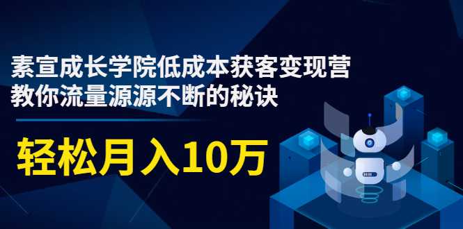 图片[1]-素宣成长学院低成本获客变现营，教你流量源源不断的秘诀，轻松月入10万 - AI 智能探索网-AI 智能探索网