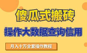 搬砖操作大数据查询信用项目赚钱教程，祝你快速月入6万 - AI 智能探索网-AI 智能探索网