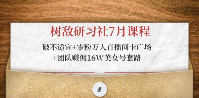 树敌研习社7月课程：破不适宜+零粉万人直播间卡广场+团队赚佣16W美女号套路 - AI 智能探索网-AI 智能探索网