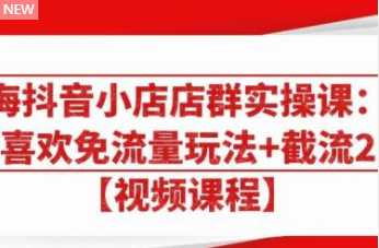 大海抖音小店店群实操课：猜你喜欢免流量玩法+截流 2.0 - AI 智能探索网-AI 智能探索网