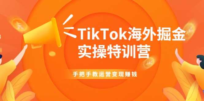 图片[1]-TikTok海外掘金实操特训营：手把手教运营变现赚钱 - AI 智能探索网-AI 智能探索网