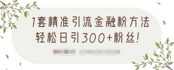 1套精准引流金融粉方法，轻松日引300+粉丝 - AI 智能探索网-AI 智能探索网