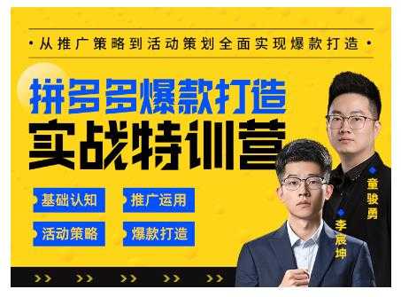 玺承云·拼多多爆款打造实战特训营，一套从入门到高手课程，让你快速拿捏拼多多 - AI 智能探索网-AI 智能探索网