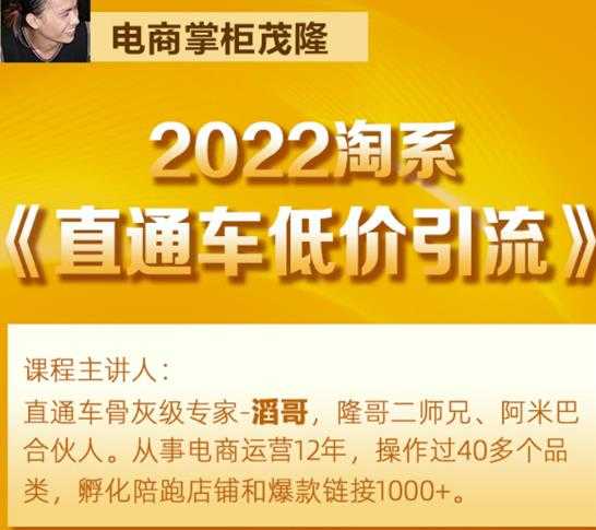 图片[1]-茂隆2022直通车低价引流玩法，教大家如何低投入高回报的直通车玩法 - AI 智能探索网-AI 智能探索网