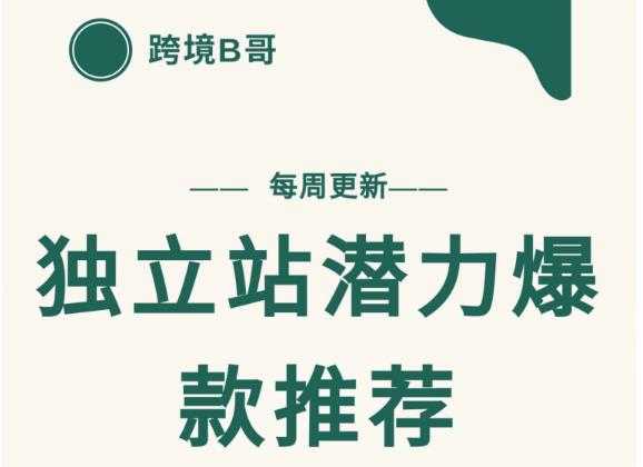 【跨境B哥】独立站潜力爆款选品推荐，测款出单率高达百分之80 - AI 智能探索网-AI 智能探索网