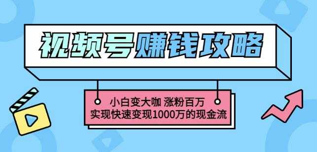 图片[1]-玩转微信视频号赚钱：小白变大咖涨粉百万实现快速变现1000万的现金流 - AI 智能探索网-AI 智能探索网