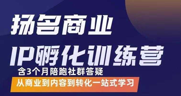 杨名商业IP孵化训练营，从商业到内容到转化一站式学 价值5980元 - AI 智能探索网-AI 智能探索网