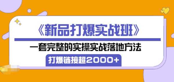 凌童《新品打爆实战班》,一套完整的实操实战落地方法，打爆链接超2000+（28节课) - AI 智能探索网-AI 智能探索网