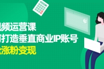 短视频运营课，如何打造垂直商业IP账号，轻松涨粉变现 - AI 智能探索网-AI 智能探索网