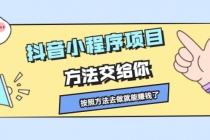 抖音小程序项目，方法交给你，按照方法去做就能赚钱了 - AI 智能探索网-AI 智能探索网