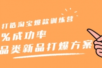 打造淘宝爆款训练营，90%成功率：全品类新品打爆方案 - AI 智能探索网-AI 智能探索网