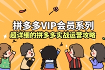 拼多多VIP会员系列，超详细的拼多多实战运营攻略 - AI 智能探索网-AI 智能探索网