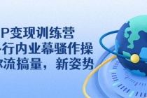 IP变现训练营：N多行内业幕骚作操，教你流搞量，新姿势！ - AI 智能探索网-AI 智能探索网