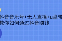 抖音音乐号+无人直播+u盘带货，教你如何通过抖音赚钱 - AI 智能探索网-AI 智能探索网