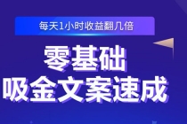 零基础吸金文案速成：小白也可以写出爆款文章，每天一小时收益翻几倍 - AI 智能探索网-AI 智能探索网