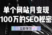 单个网站月变现100万的SEO秘密：如何百分百做出赚钱站点 - AI 智能探索网-AI 智能探索网