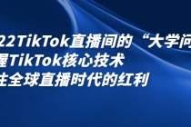 2022TikTok直播间的“大学问”掌握TikTok核心技术 抓住全球直播时代的红利 - AI 智能探索网-AI 智能探索网