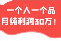 某公众号付费文章：一个人一个品月纯利润30万的蓝海电商经典案例！ - AI 智能探索网-AI 智能探索网