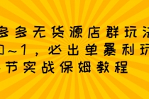 拼多多无货源店群：从0~1，必出单10单利润1000+暴利玩法，36节实战保姆教程 - AI 智能探索网-AI 智能探索网