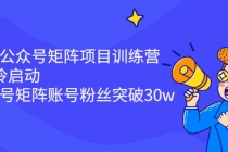 蓝海公众号矩阵项目训练营，0粉冷启动，公众号矩阵账号粉丝突破30w - AI 智能探索网-AI 智能探索网