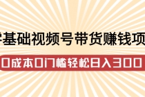 零基础视频号带货赚钱项目，0成本0门槛轻松日入300+【视频教程】 - AI 智能探索网-AI 智能探索网