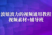 波妞波力的视频通用教程+视频素材+辅导班 - AI 智能探索网-AI 智能探索网