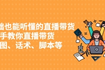 0基础也能听懂的直播带货，手把手教你直播带货 链路图、话术、脚本等 - AI 智能探索网-AI 智能探索网