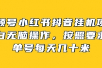 视频号小红书抖音挂机项目，小白无脑操作，按照要求来，单号每天几十米 - AI 智能探索网-AI 智能探索网