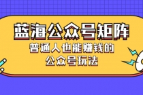 蓝海公众号矩阵：普通人也能赚钱的公众号玩法，月入过N万 - AI 智能探索网-AI 智能探索网