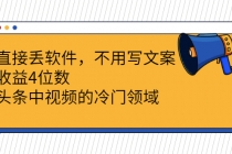 直接丢软件，不用写文案，收益4位数头条中视频的冷门领域 - AI 智能探索网-AI 智能探索网