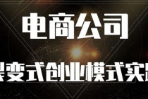 《电商公司裂变式创业模式实践》开拓更多项目 赚更多的钱 - AI 智能探索网-AI 智能探索网