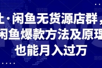 闲鱼无货源店群，掌握闲鱼爆款方法快速出单，轻松月入10000+ - AI 智能探索网-AI 智能探索网