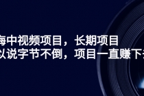 蓝海中视频项目，长期项目，可以说字节不倒，项目一直赚下去！ - AI 智能探索网-AI 智能探索网