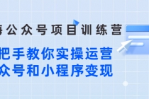 蓝海公众号项目训练营，手把手教你实操运营公众号和小程序变现 - AI 智能探索网-AI 智能探索网