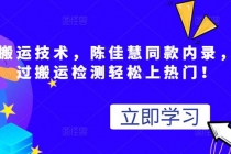 最新搬运技术视频替换，陈佳慧同款内录，测试最高跑了2亿 - AI 智能探索网-AI 智能探索网