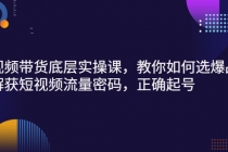 短视频带货底层实操课，教你如何选爆品、了解获短视频流量密码，正确起号 - AI 智能探索网-AI 智能探索网